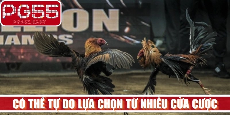 Anh em có thể tự do lựa chọn từ nhiều cửa cược đá gà thú vị